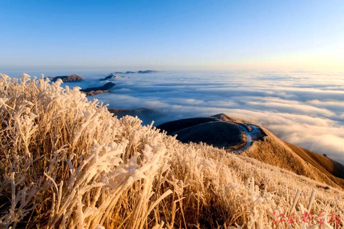 萍鄉(xiāng)武功山：霧凇云海，銀裝素裹